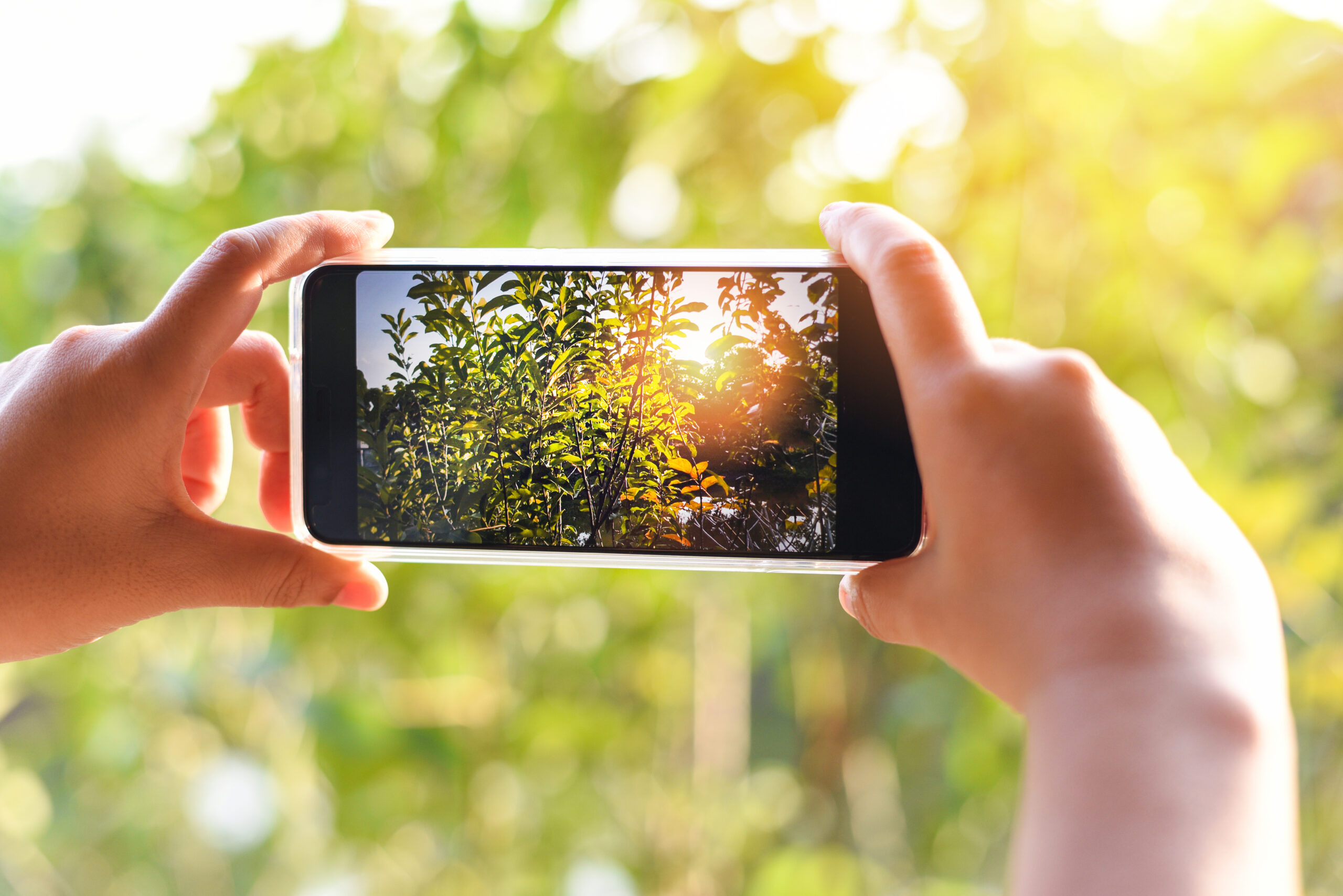 How to Improve Your Mobile Photography: Tips and Tricks